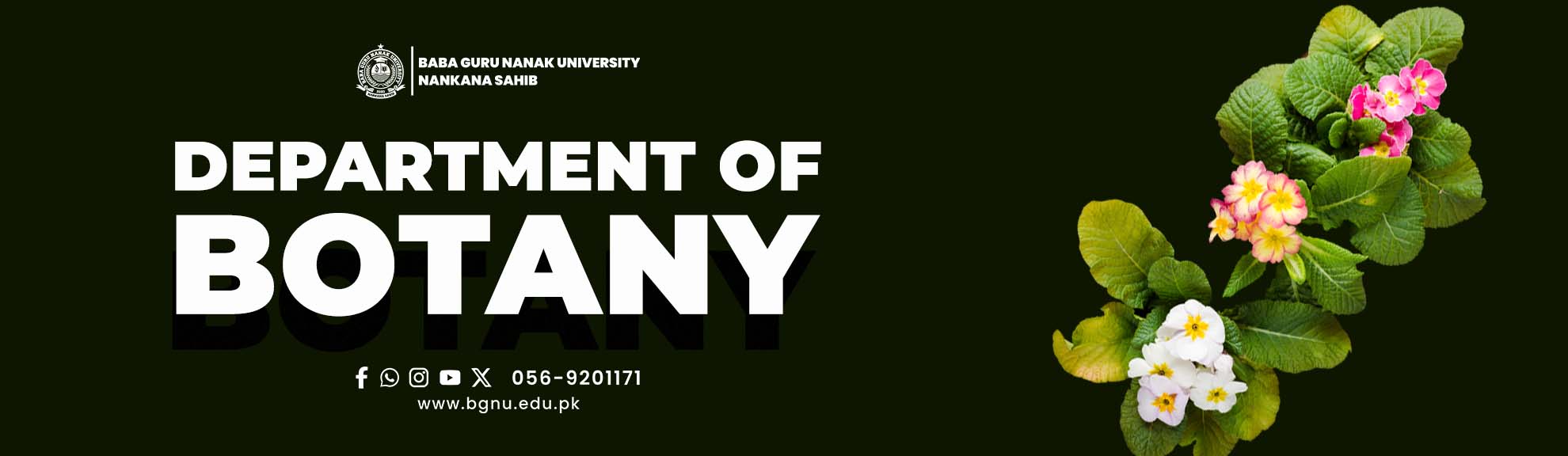 Department of Islamic Studies